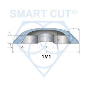 smart cut technology 1V1